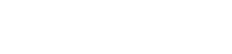 ProSolVi Logo
